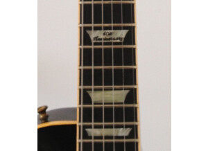 Gibson Les Paul 40th anniversary (64893)
