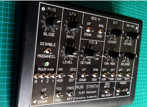 Elby Designs AVR Synth