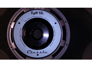 Electro-Voice EVM-12L Classic