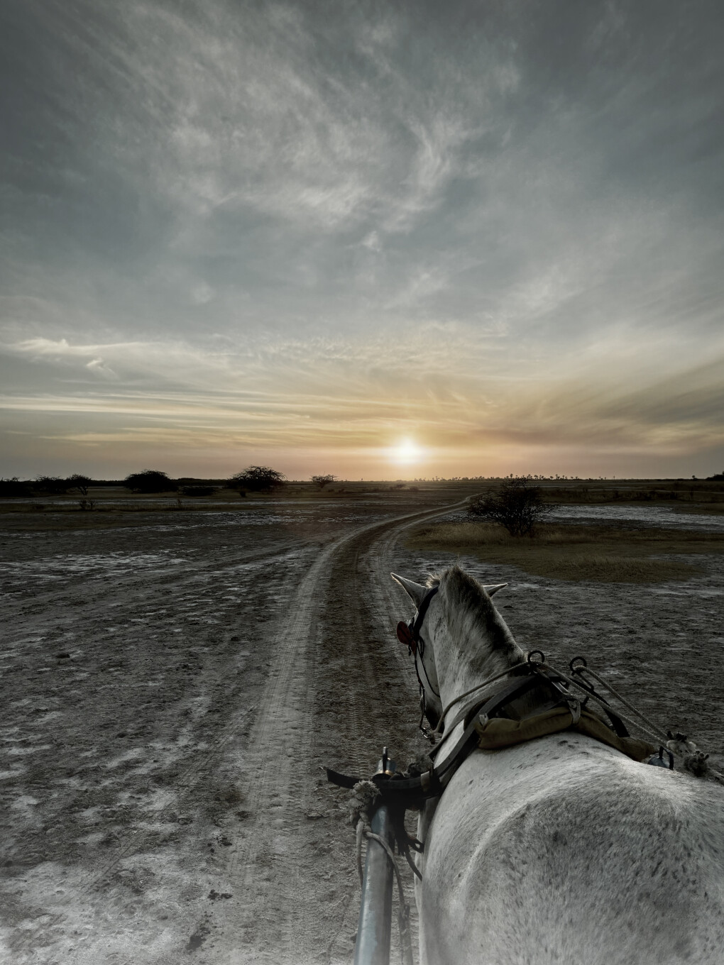 6725820.jpeg 6725820.jpeg