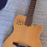 Godin Multiac