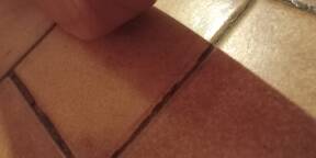 Vends basse Harley Benton Enhenced MJ 5MN