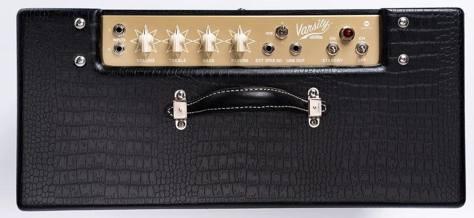 Magnatone Amps Varsity Reverb - Point to Point : Varsity ReverbPANEL