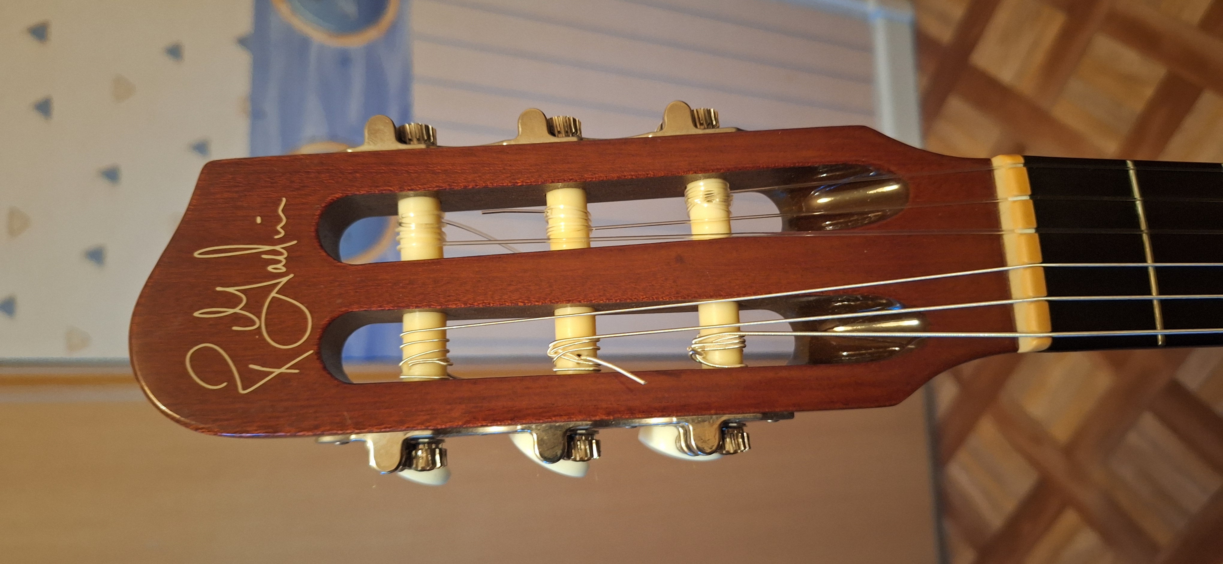 Godin ACS Nylon (41425)