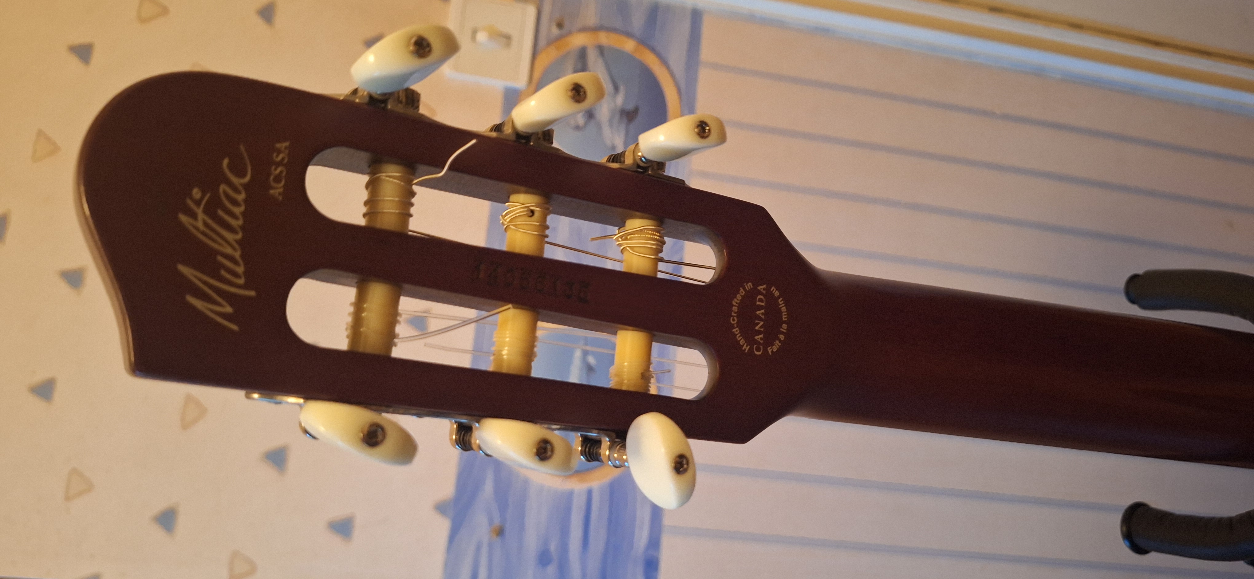 Godin ACS Nylon (2079)