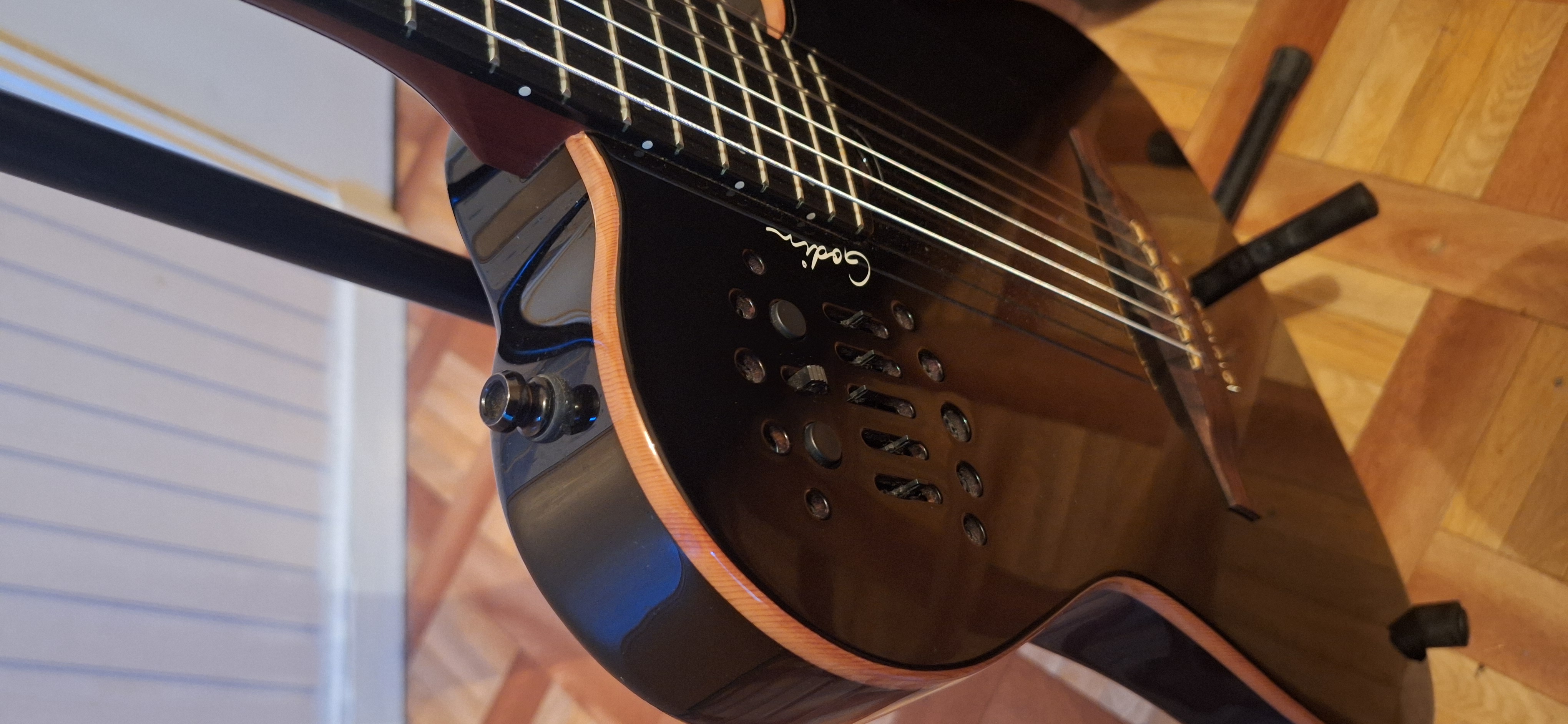 Godin ACS Nylon (48987)