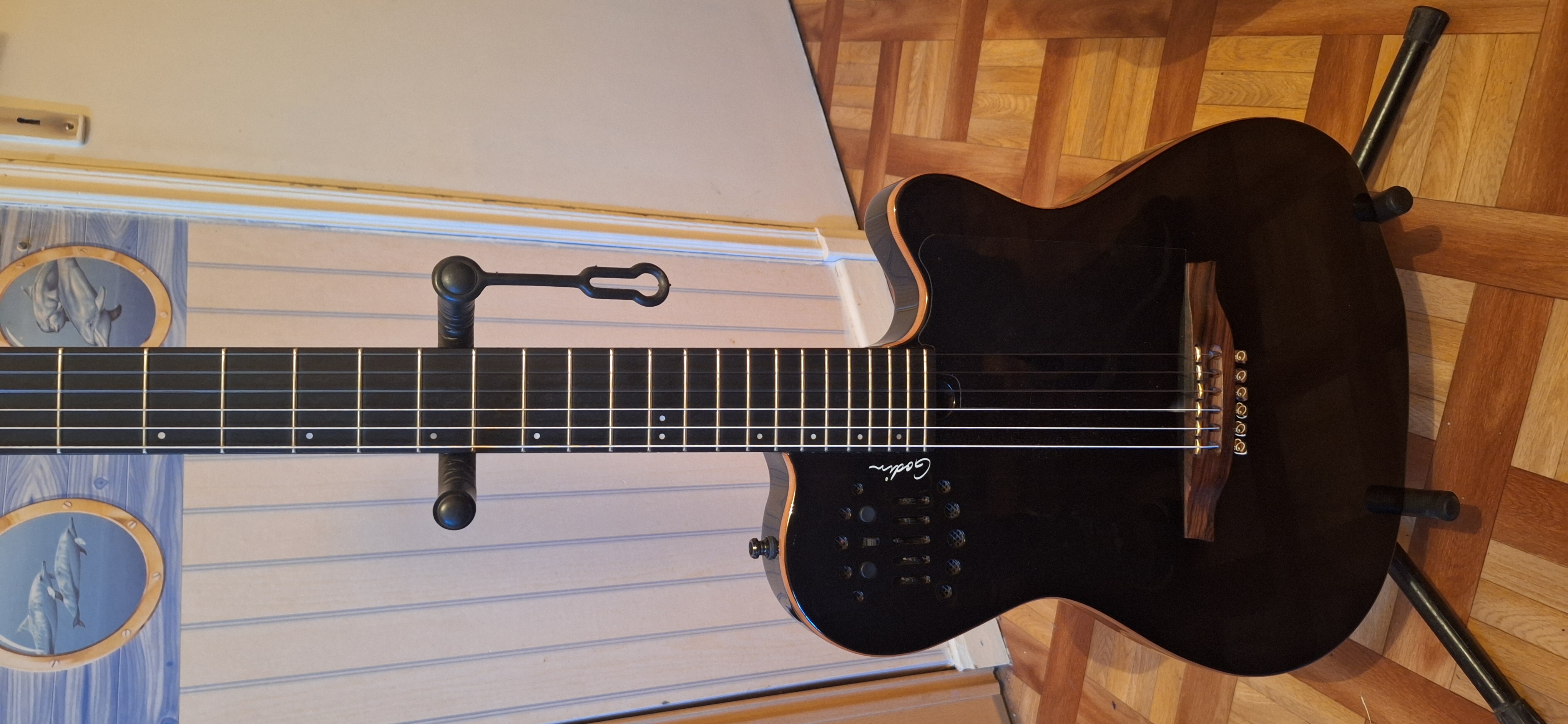 Godin ACS Nylon (73791)