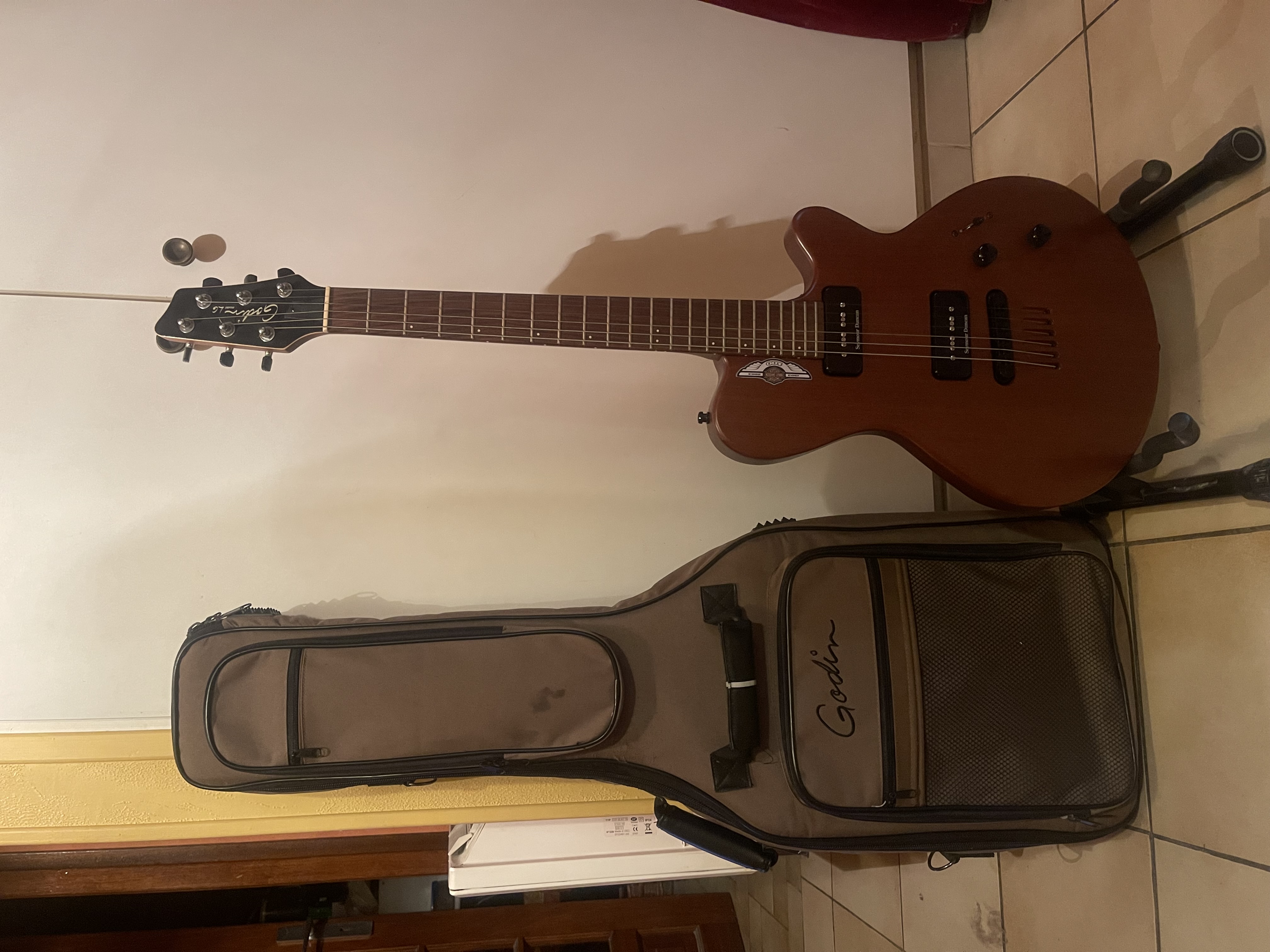Guitare électrique Godin Lg 