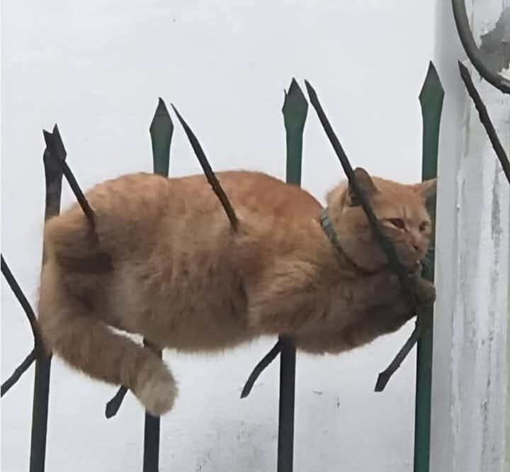 6729517.jpg 6729517.jpg