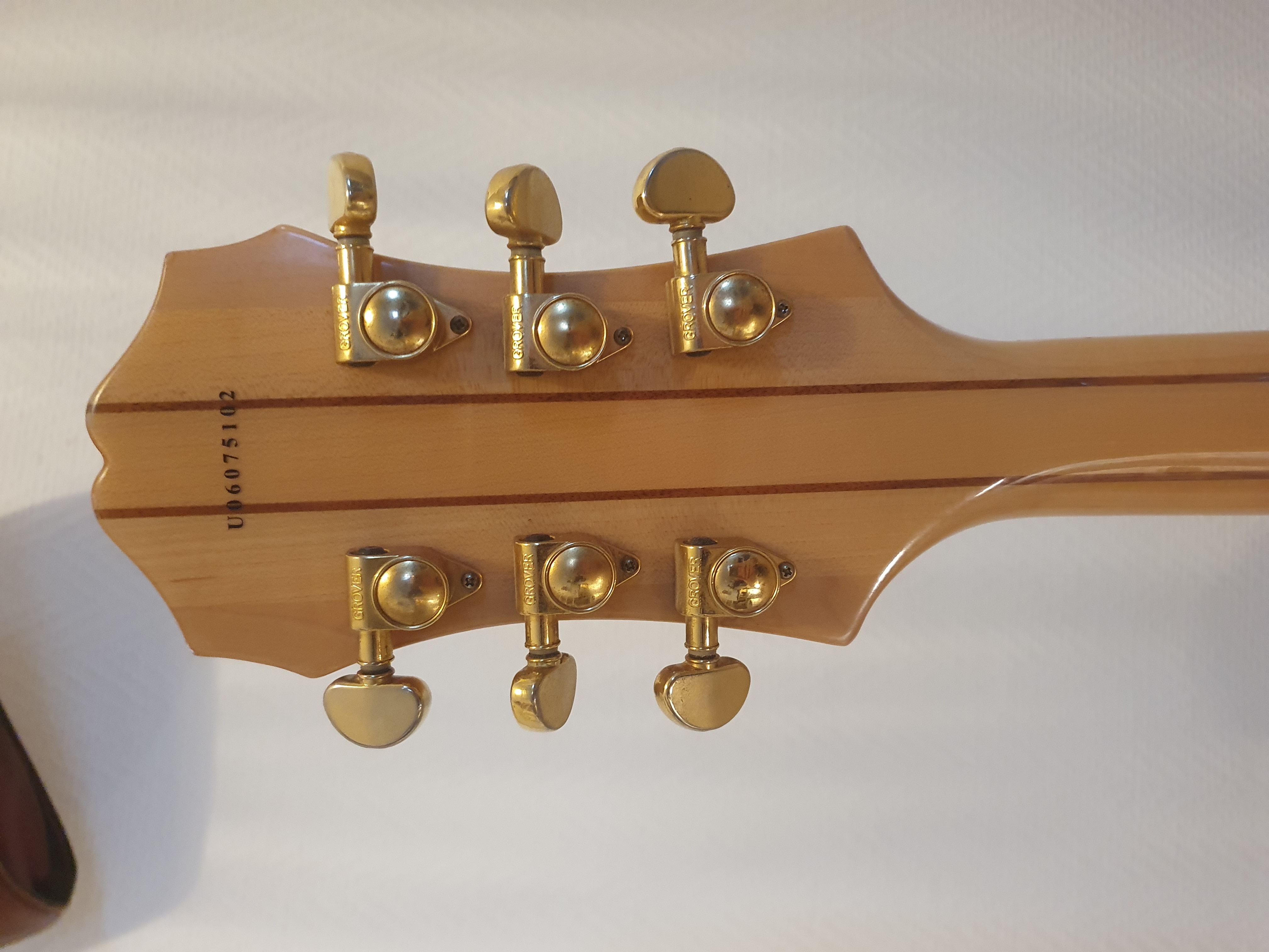 Epiphone Sheraton II (17101)