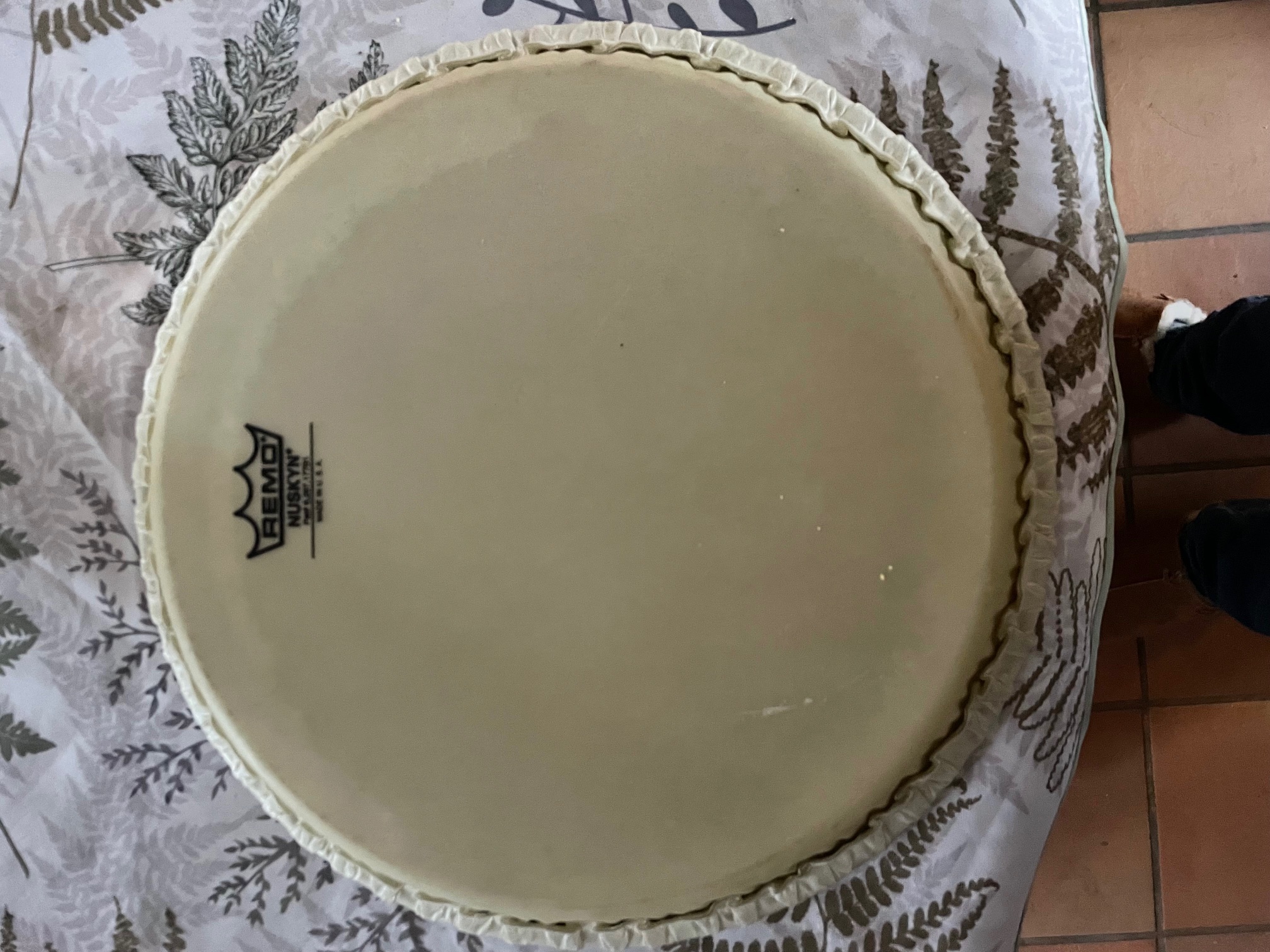 Vends Peau congas REMO  NUSKIN