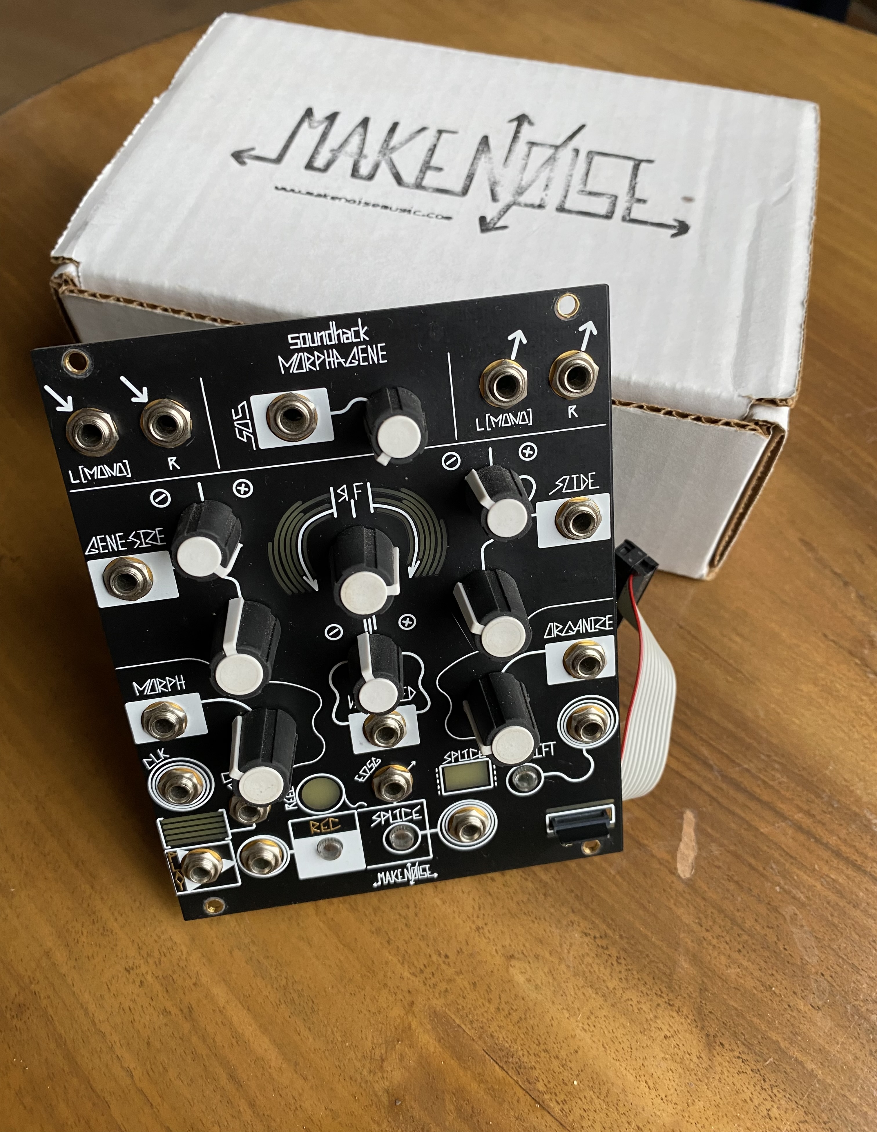 Make noise Morphagene