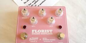 Vds Benson Amps Florist Dynamic Modulation comme neuf!