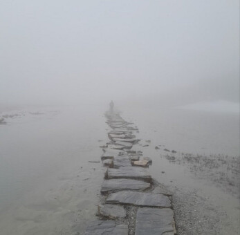 6732784.png 6732784.png