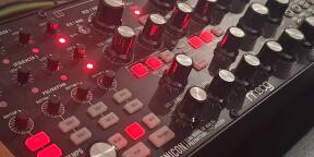 Moog Subharmonicon neuf