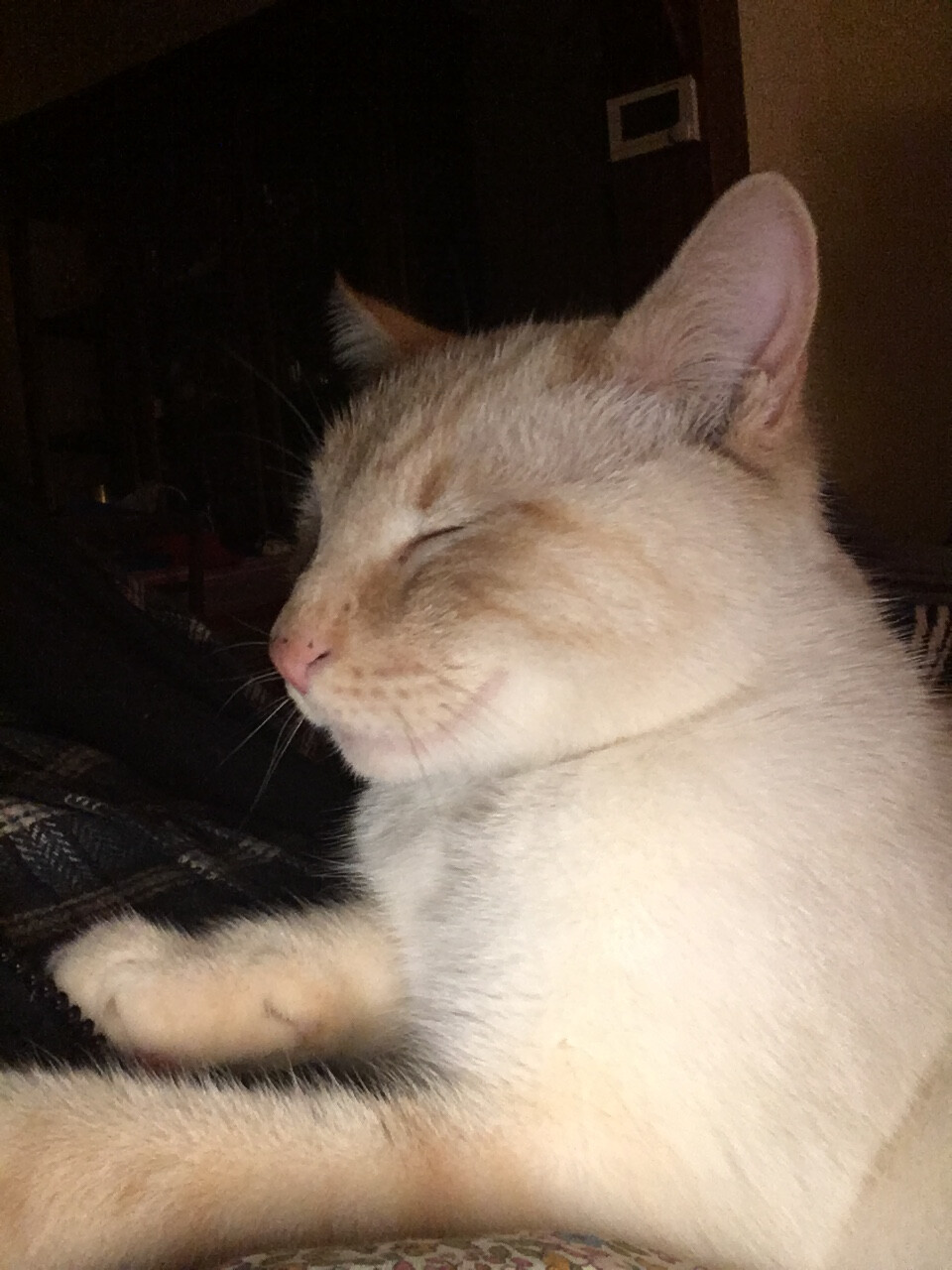 6733095.jpg 6733095.jpg