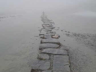 6733110.jpg 6733110.jpg