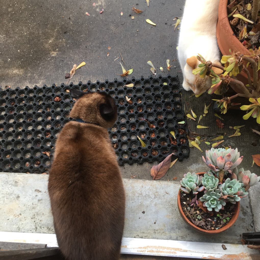 6733514.jpg 6733514.jpg