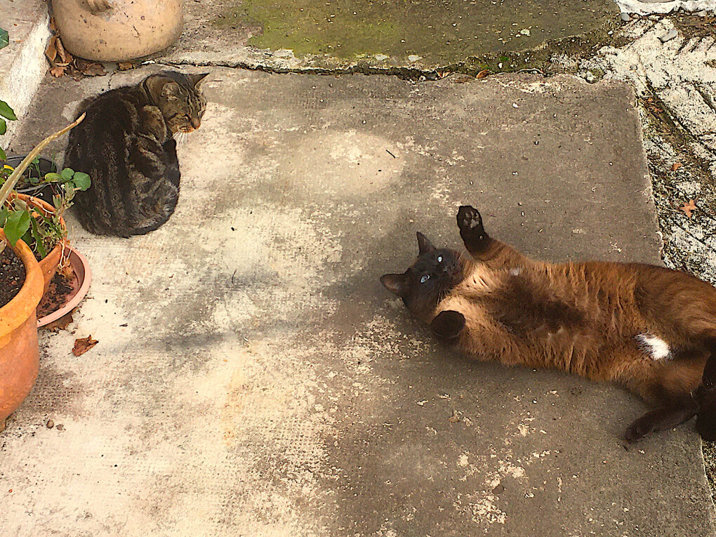 6733550.jpg 6733550.jpg