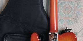Vends Fender Télécaster Player Plus