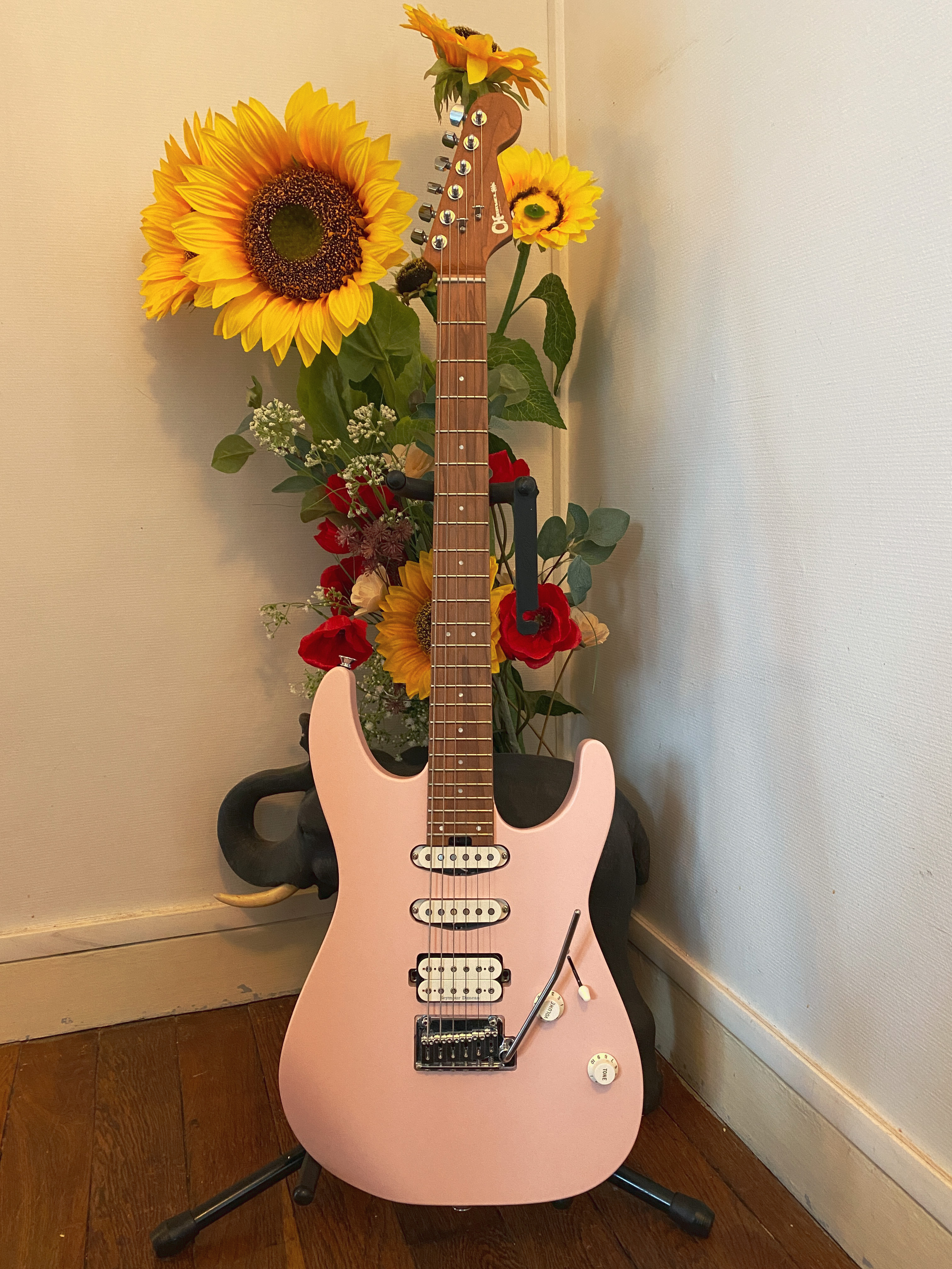 Charvel Pro-Mod DK24 HSS 2PT CM SP