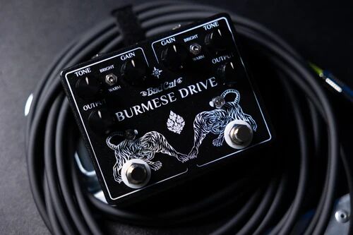 Bad Cat Burmese Drive : Burmese DriveHERO