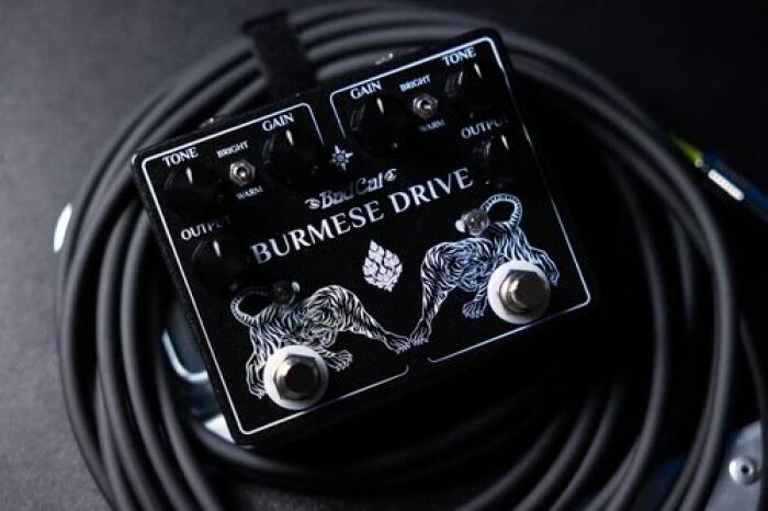 Bad Cat Burmese Drive : Burmese DriveHERO Bad Cat Burmese Drive : Burmese DriveHERO