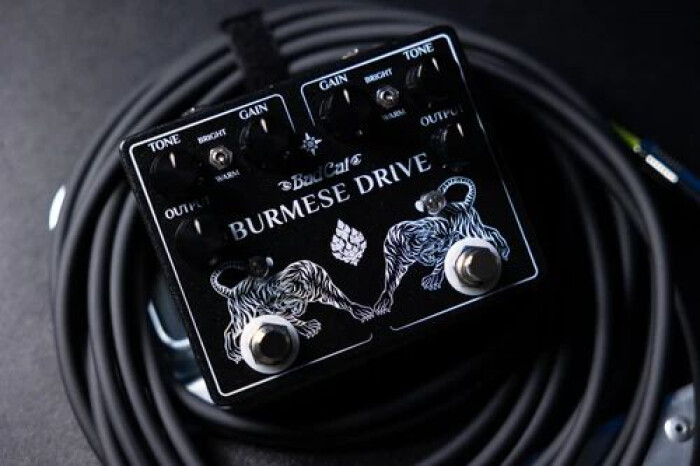 Bad Cat Burmese Drive : Burmese DriveHERO Bad Cat Burmese Drive : Burmese DriveHERO