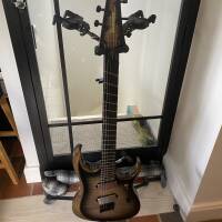 Vends Ibanez multi-diapasons