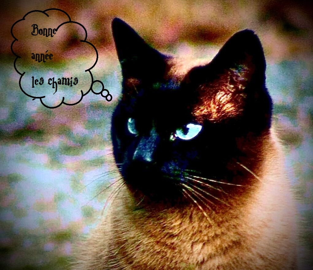 6735039.jpg 6735039.jpg