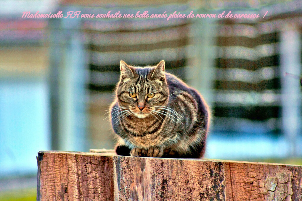 6735040.jpg 6735040.jpg