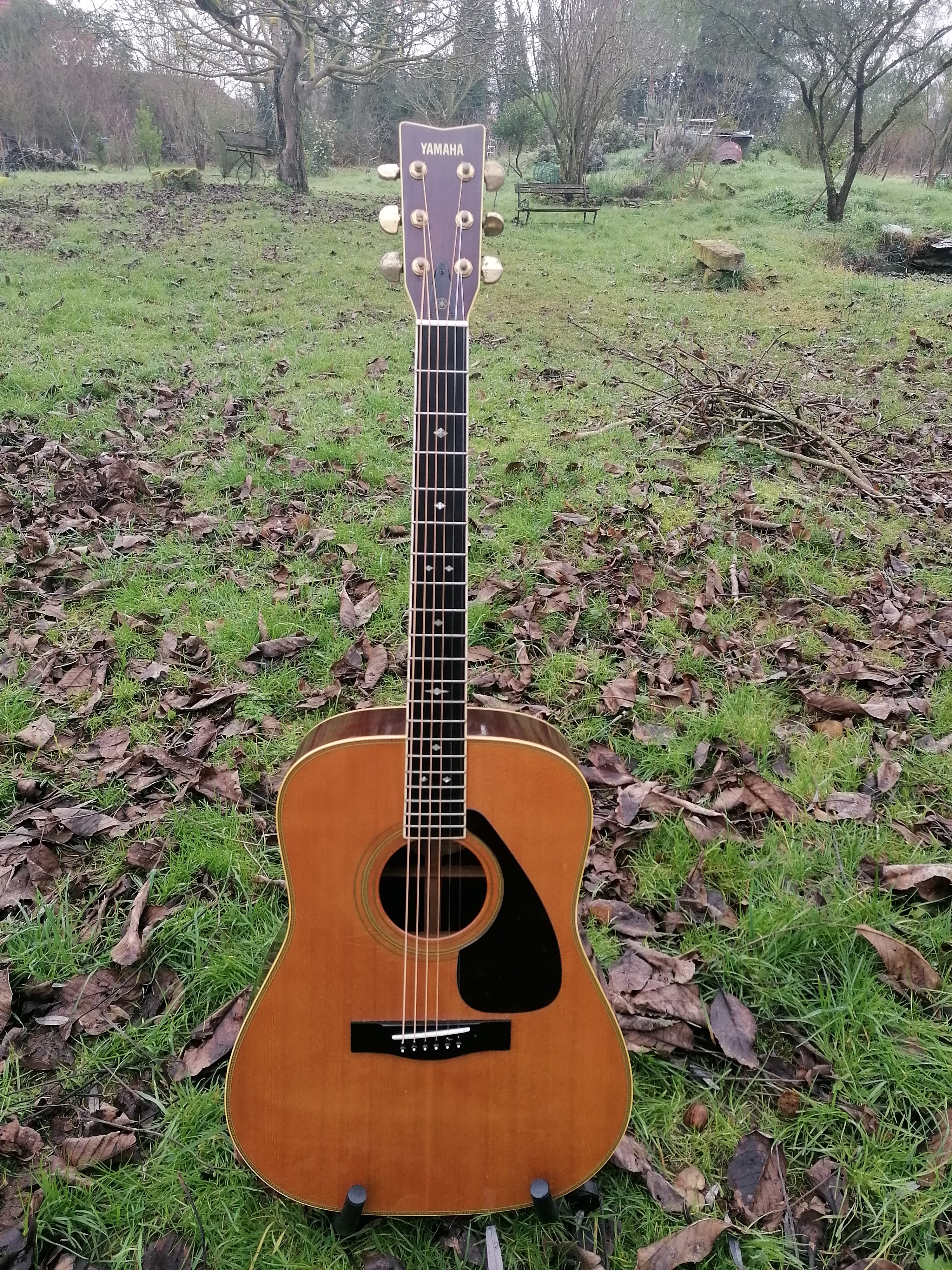 rare guitare Yamaha L8 années 70