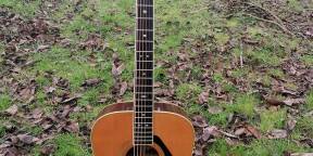 rare guitare Yamaha L8 années 70