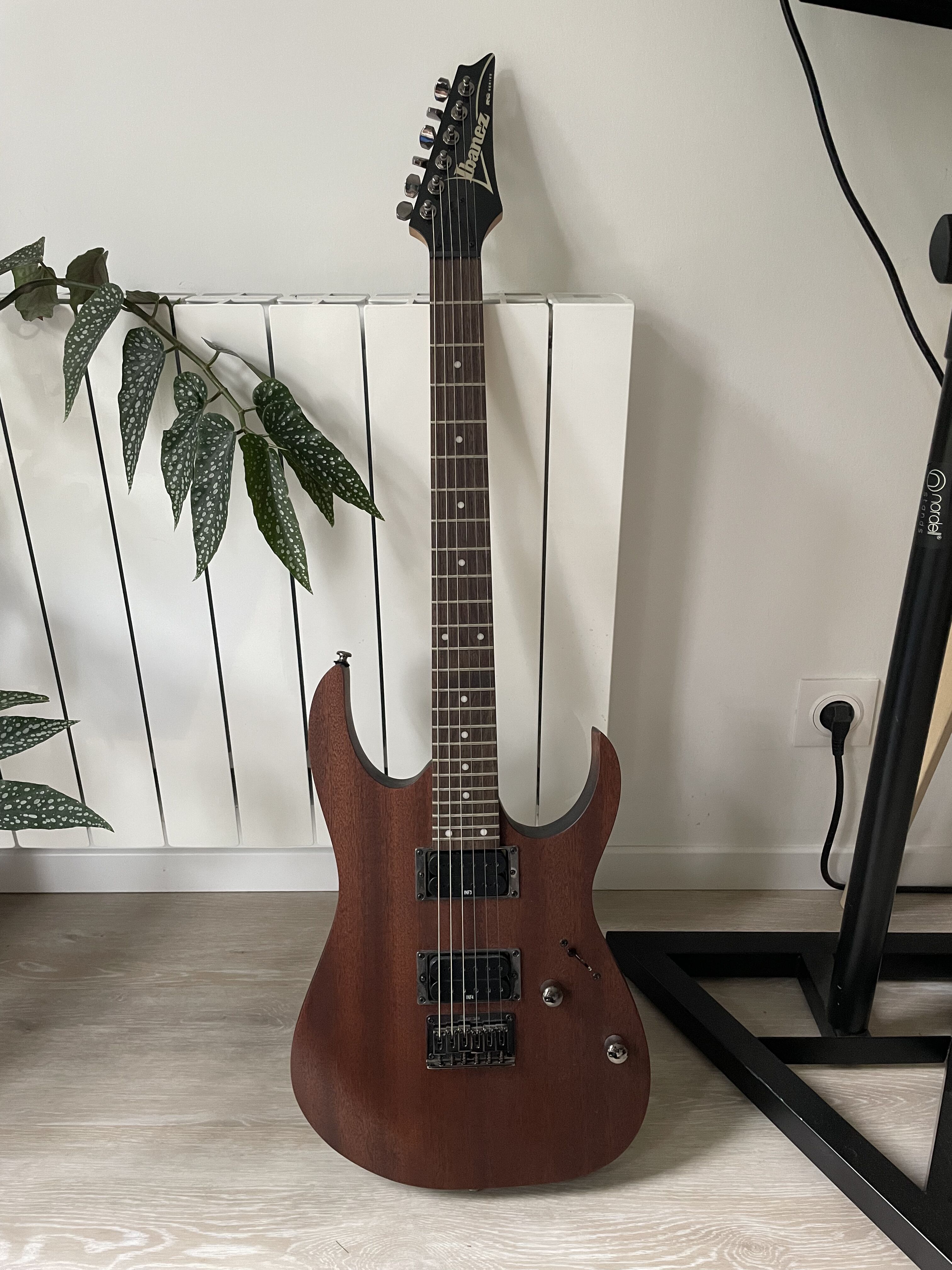 Ibanez RG421