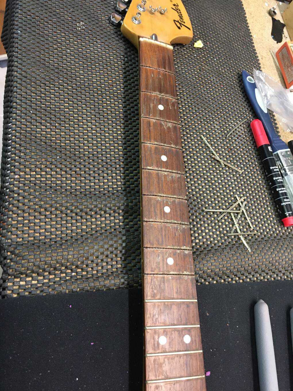 6736572.jpeg 6736572.jpeg