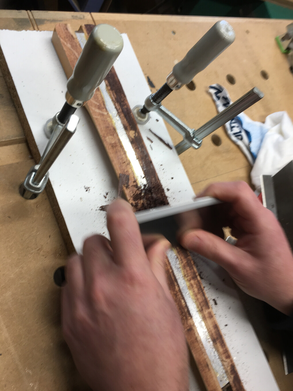 6736600.jpeg 6736600.jpeg