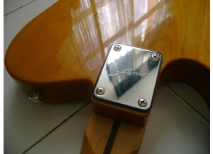 Fenix Telecaster (84659)