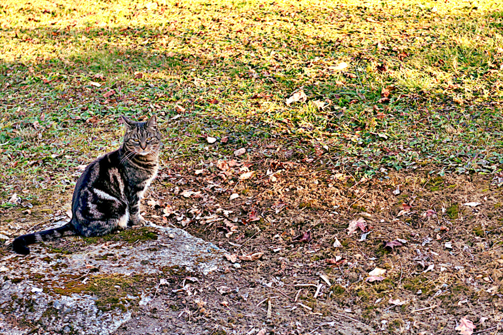 6736937.jpg 6736937.jpg