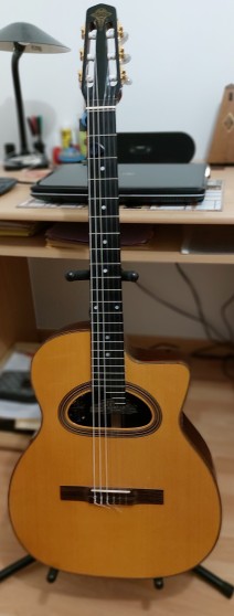 vends guitare manouche Mcc 30