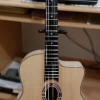 vends guitare manouche MD50 E