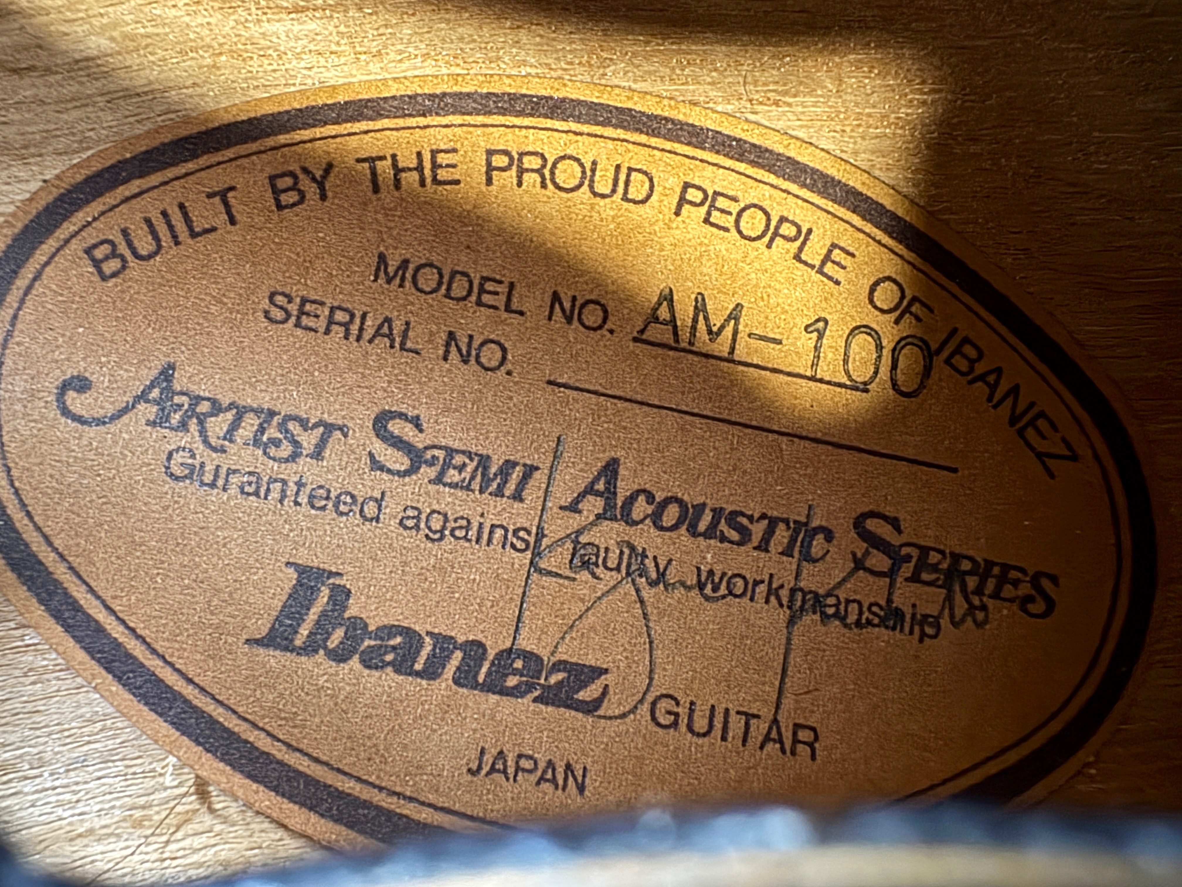 Ibanez AM100 (10380)