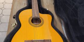 Takamine Electro acoustique