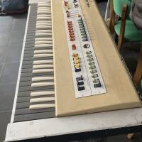 professional pp 221 organ