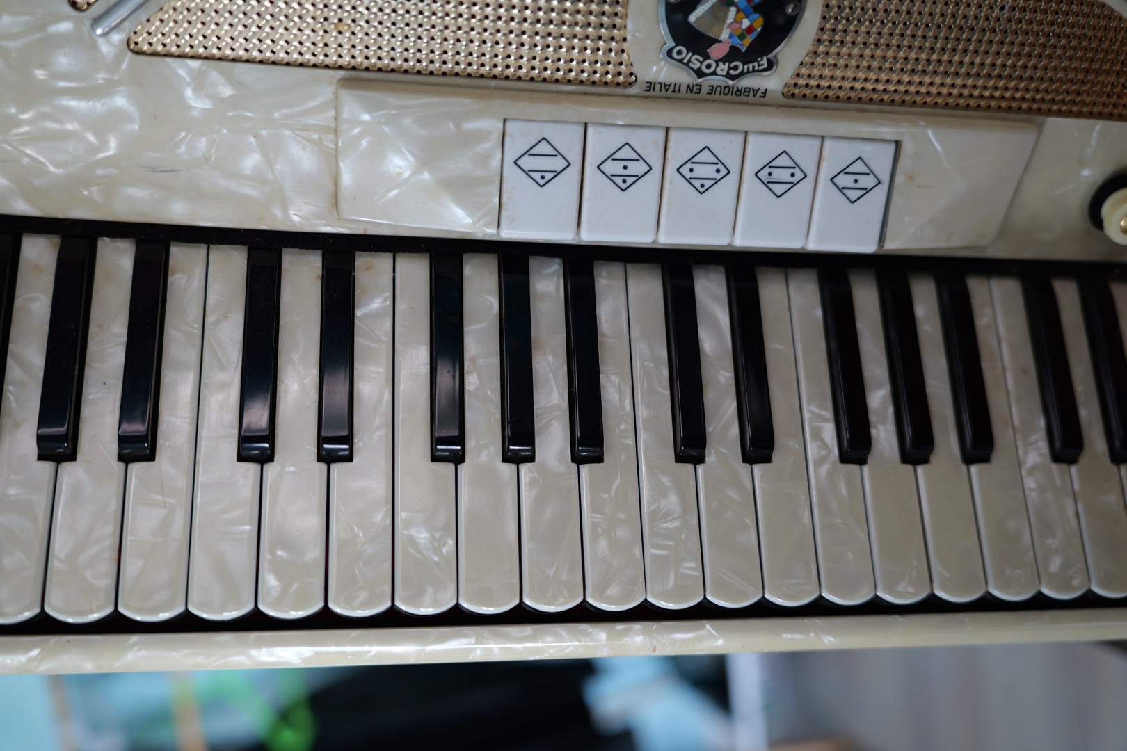 Accordeon Deloeul (5)