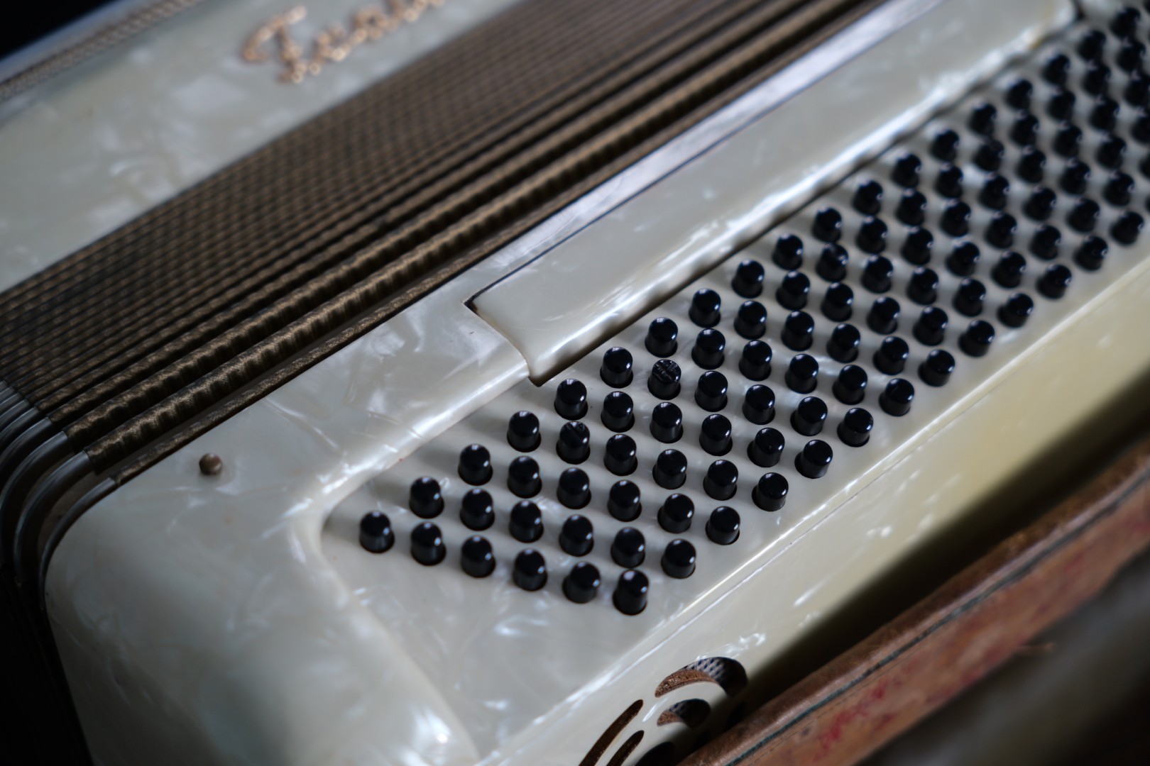 Accordeon Deloeul (10)