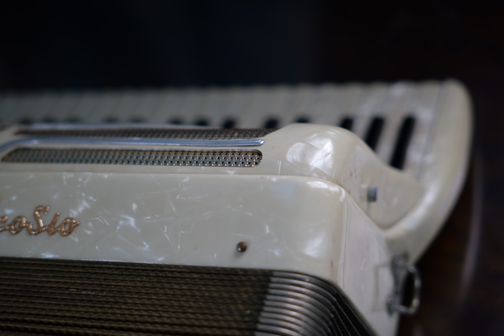 Accordeon Deloeul (12)