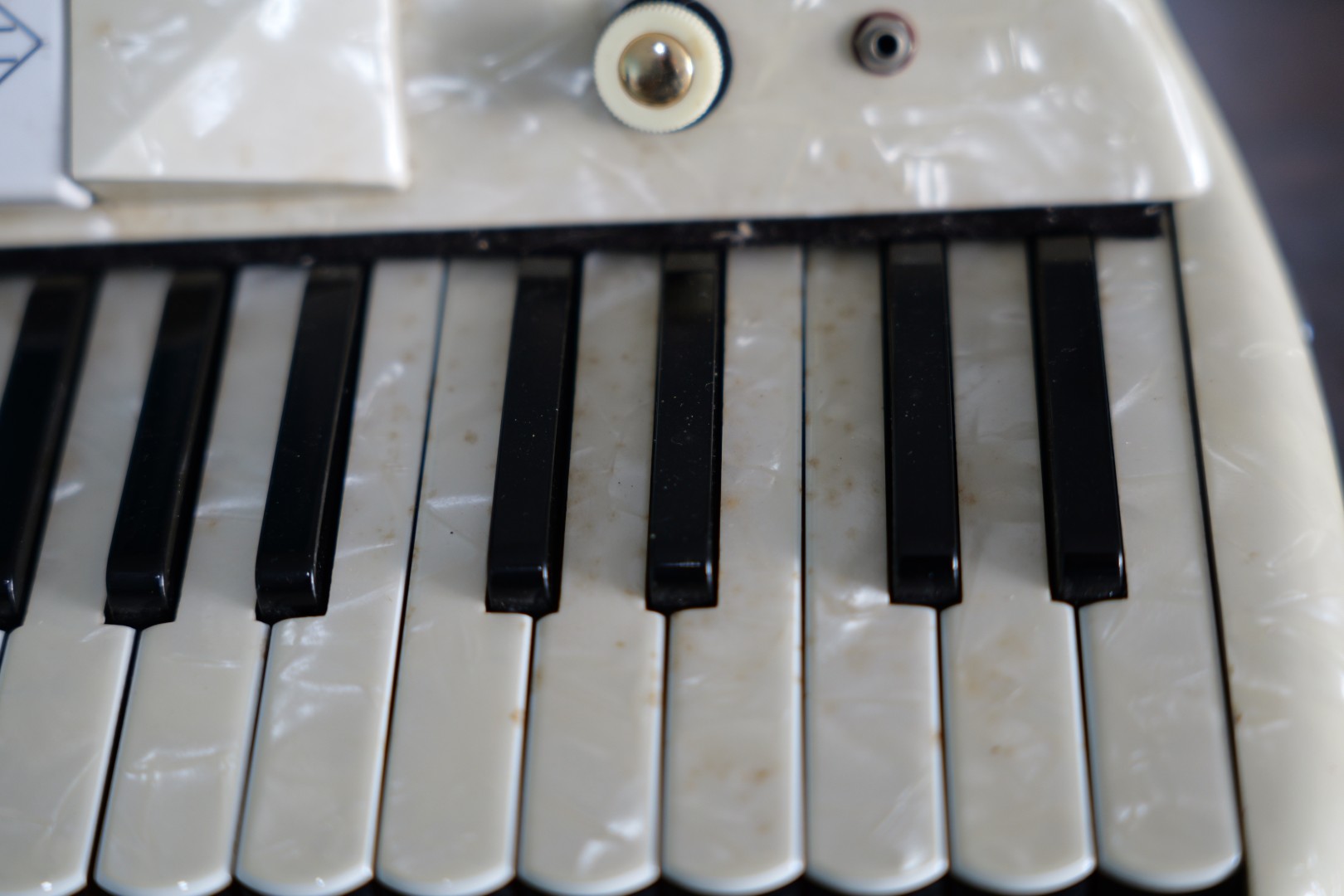 Accordeon Deloeul (14)