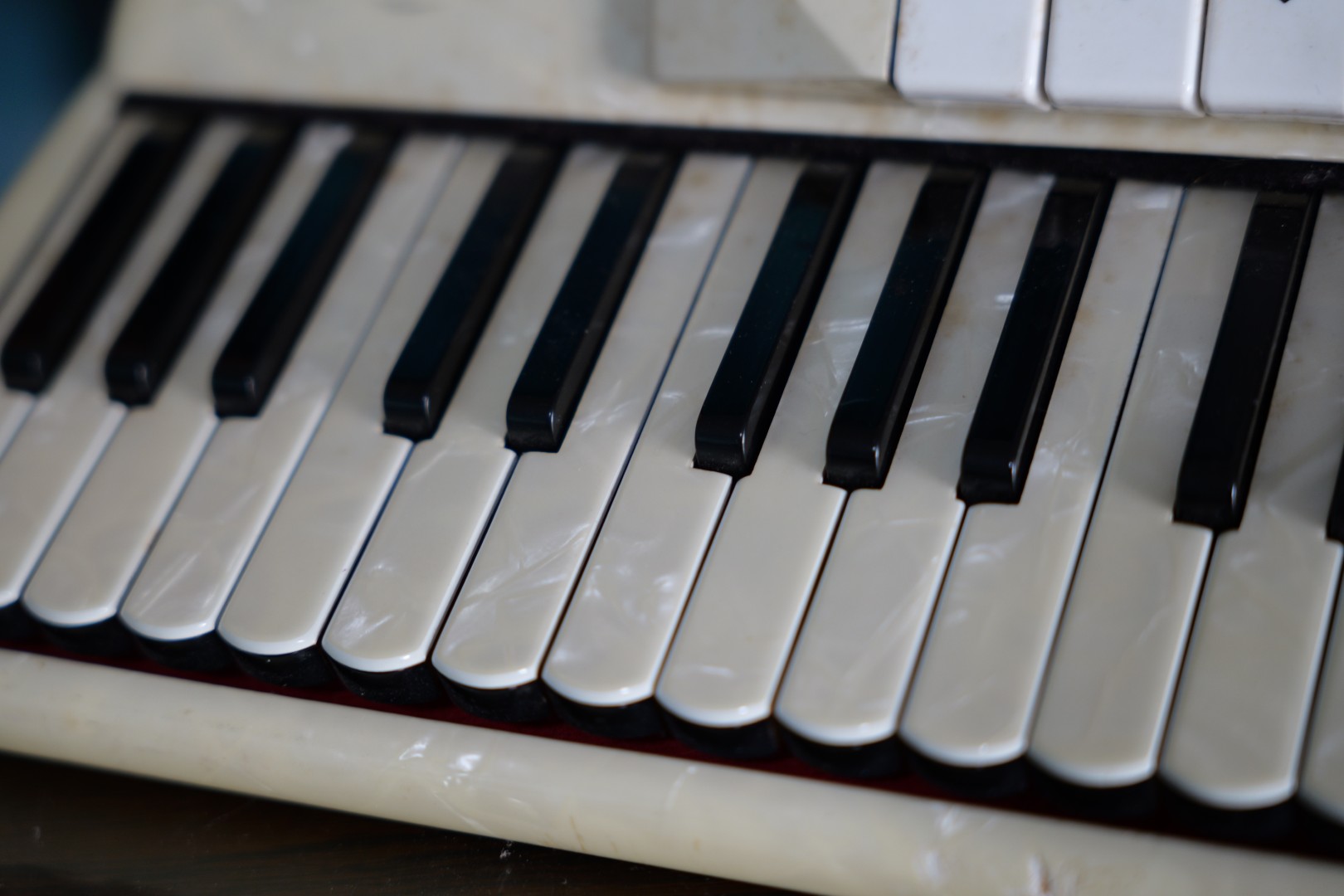 Accordeon Deloeul (15)