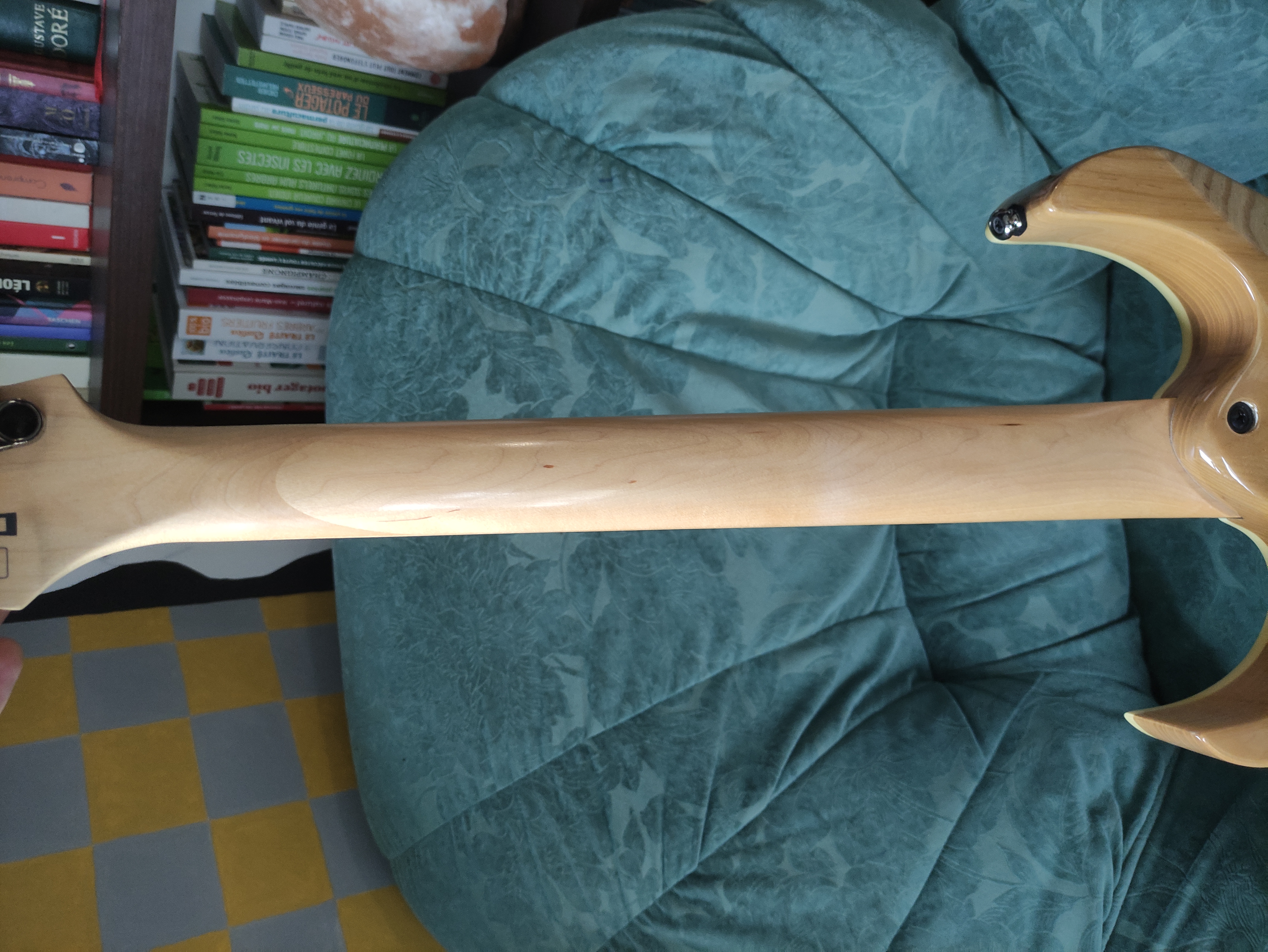 Ibanez RG370AHMZ (9811)