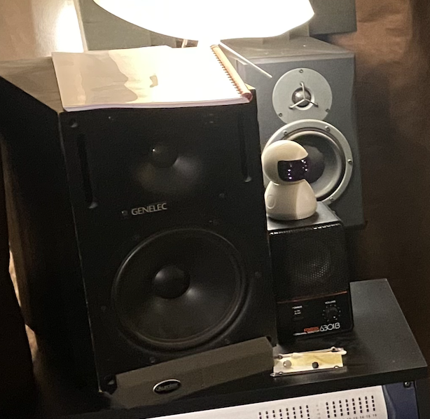 STUDIO VEND PAIRE DE GENELEC 1031A